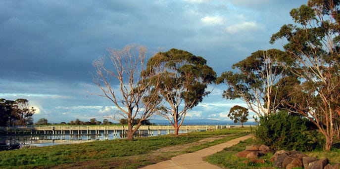 Picture of a path near trees and water