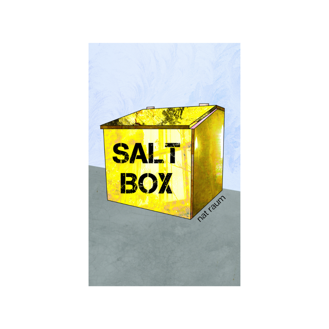 the cover of 'salt box' by nat raum, which features an illustration of a salt box by the author