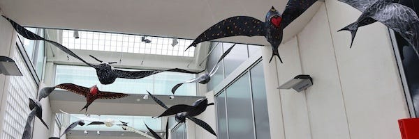 A collection of model swifts in the atrium of an art gallery