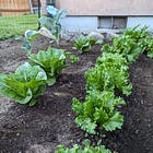 Leafy Greens and Green Pastures