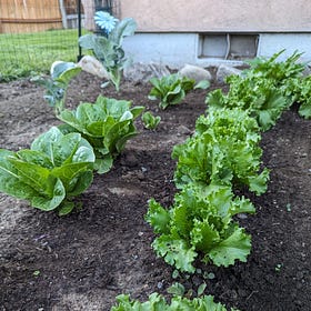 Leafy Greens and Green Pastures