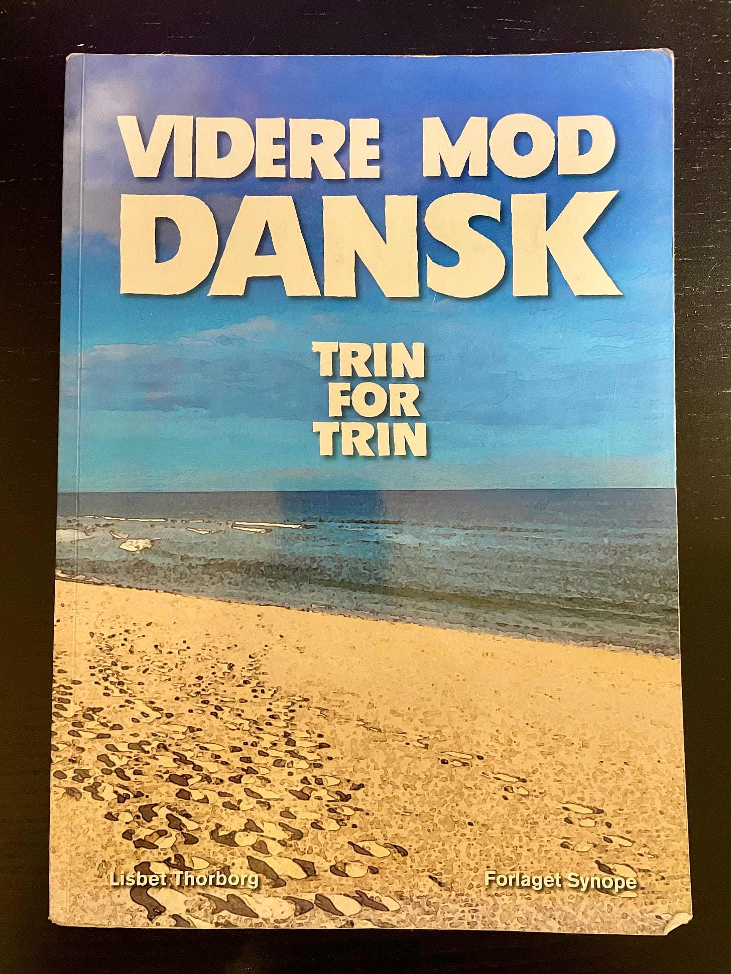danish language school book
