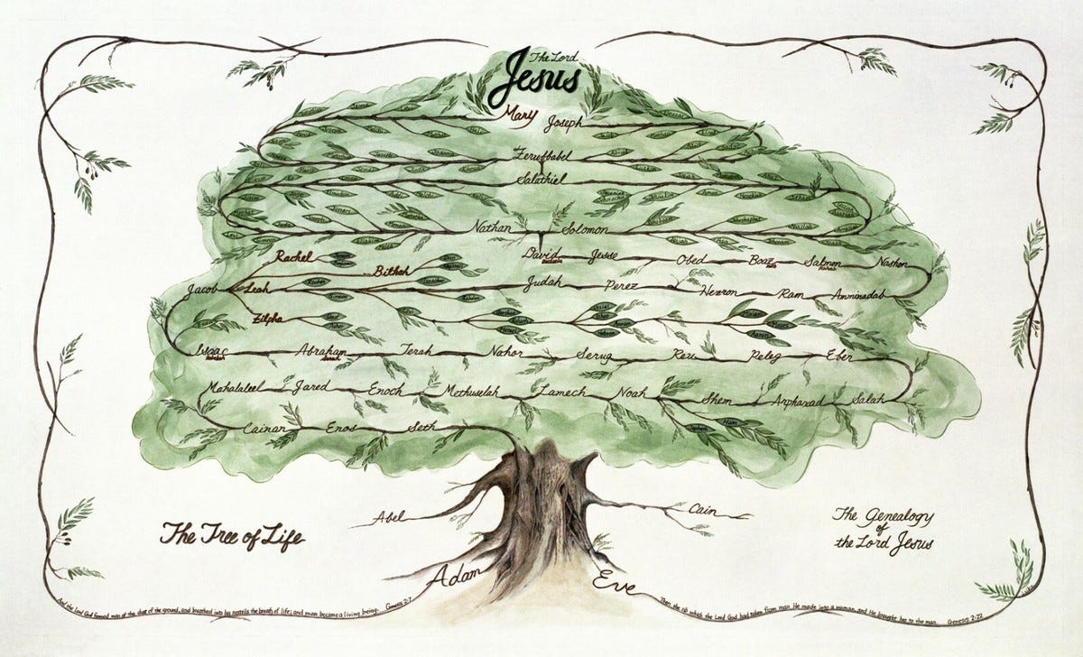 A depiction of a green tree with branches wending through it like a sort of vine. It depicts a simplified version of Jesus's family tree.