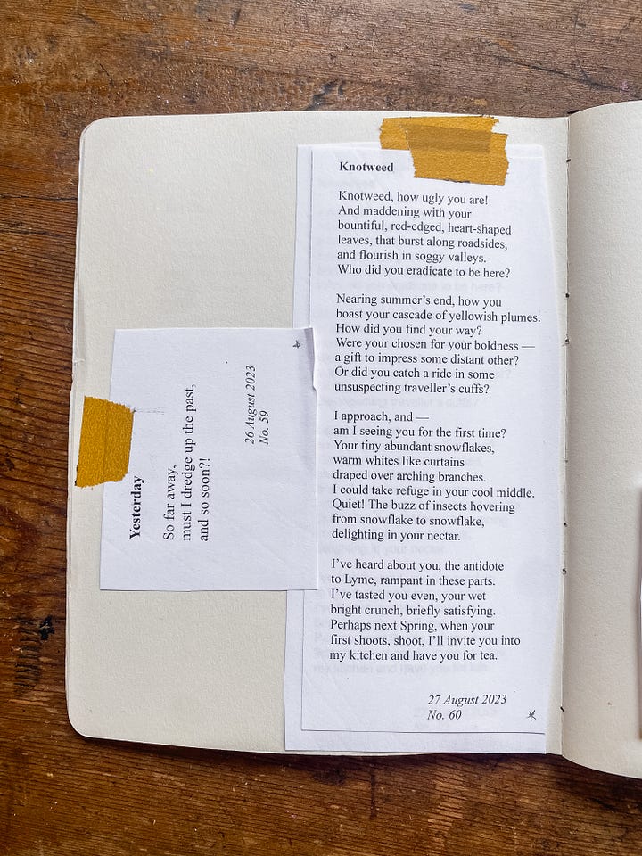 A Poem A Day Project