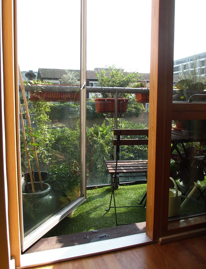 My first balcony garden on a London estate was no larger than 1m x 2m
