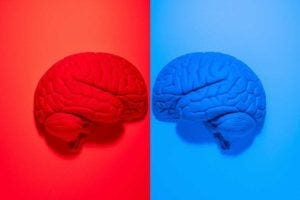 A brain scan can reveal whether a person would identify as a Republican or a Democrat. A brain scan can reveal whether a person would identify as a Republican or a Democrat.