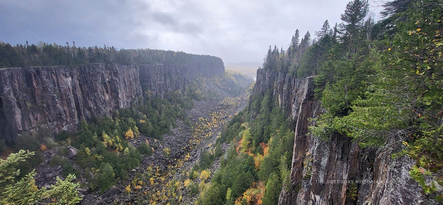 A closer view of the canyon walls, clearly showing the vertical, pillar-like rock formations. The rock is dark grey and jagged, contrasting with the soft autumn foliage clinging to the cliff edge.