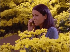 season 1 netflix GIF by Gilmore Girls 