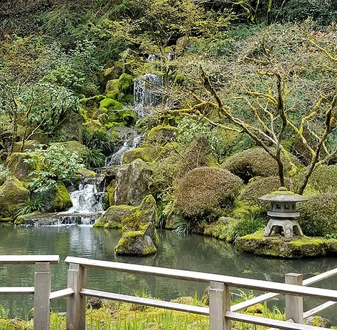 Photos of cherry trees, moss gardens, stone garden, pagoda lantern, Jizo statue, and camellias in bloom