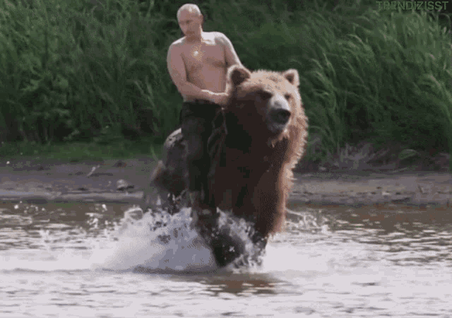 Putin Riding GIF - Putin Riding Bear GIFs
