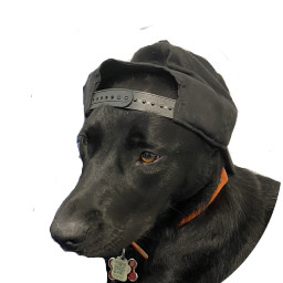 what's going on in this kid's brain