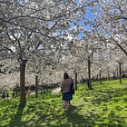 What you might have missed and what's ON this month here at Sparkle on Substack! 