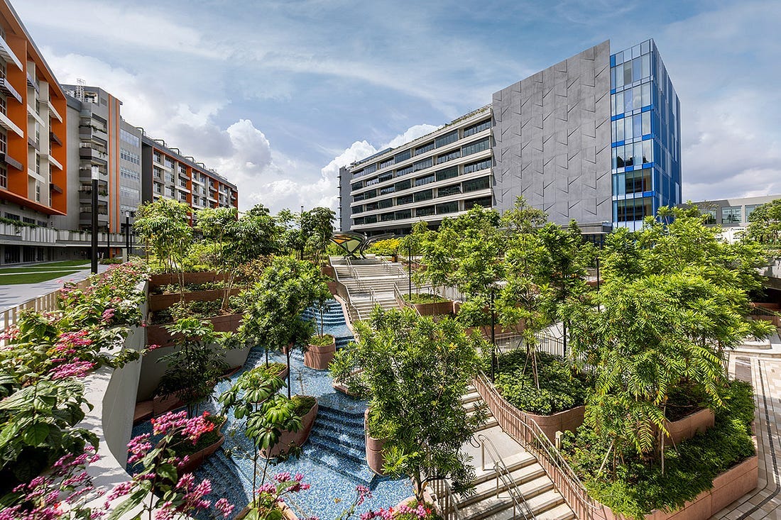 Woodlands Health Campus | SAA Architects Woodlands Health Campus | SAA Architects