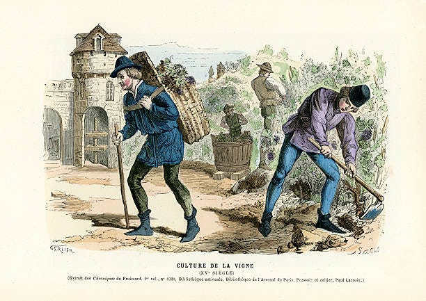 Culture Of The Vine Stock Illustration - Download Image Now - Medieval,  Farm Worker, Vineyard - iStock