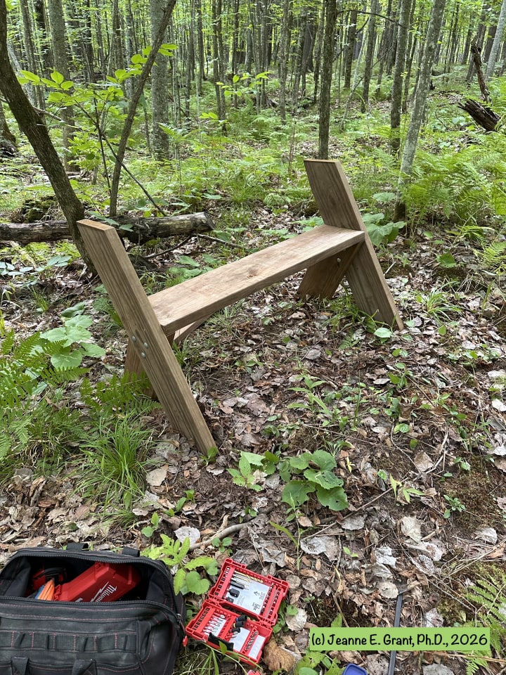 The pieces of wood being assembled in the greenest woods.