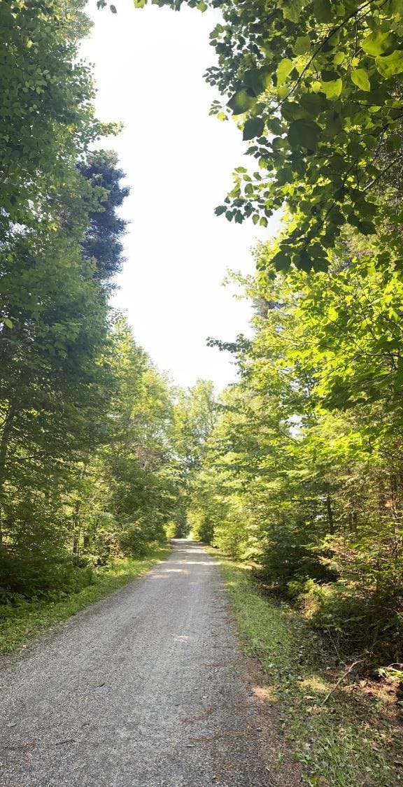 Piste La lisseuse