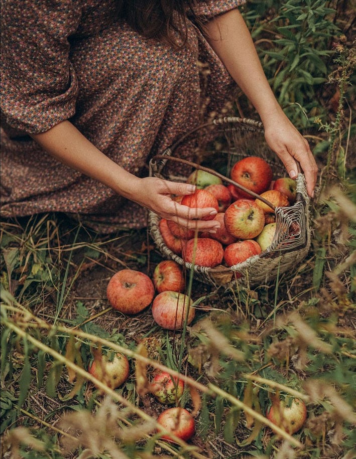 Autumn Evolution - girl wearing a ditsy floral dress in autumn colours, crouched picking apples from the ground to put in a basket