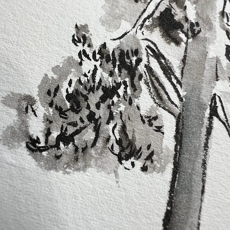 three closeups of a a black and gray painting of a conifer tree