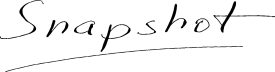 Snapshot