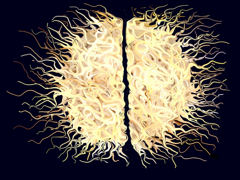 brain fire