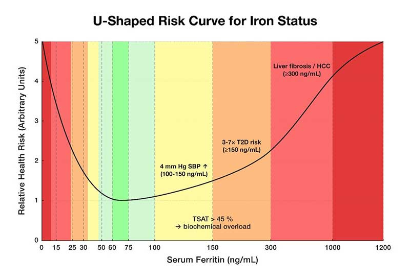 u shaped risk curve for iron status