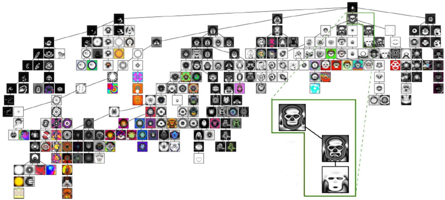 picbreeder phylogeny