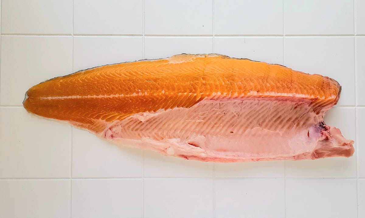 A lake trout fillet.