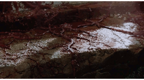 Combined Gifs GIF Combined Gifs GIF