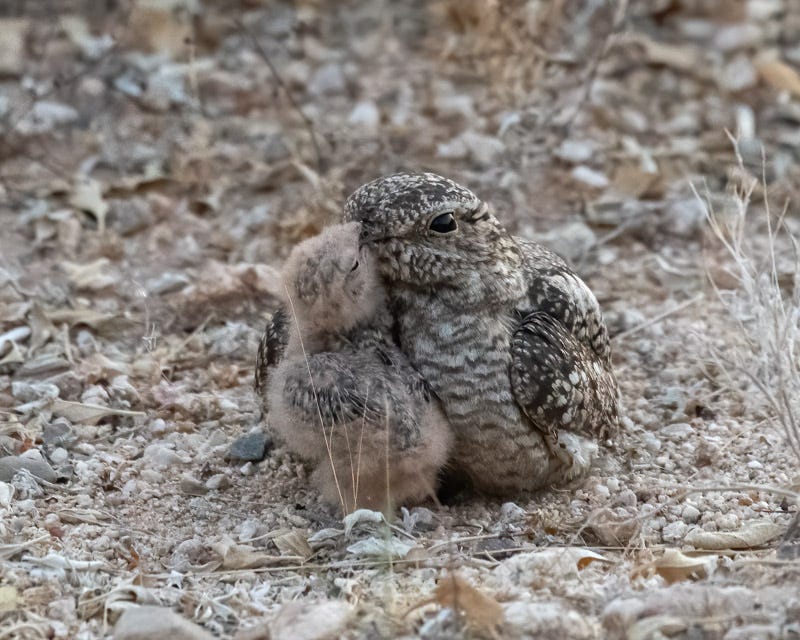 20200621_LN-129-Edit.jpg 20200621_LN-129-Edit.jpg