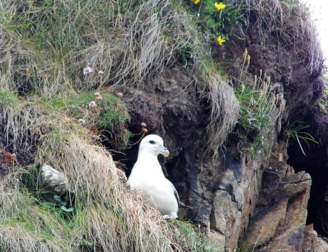 Pictures of the Western Isles