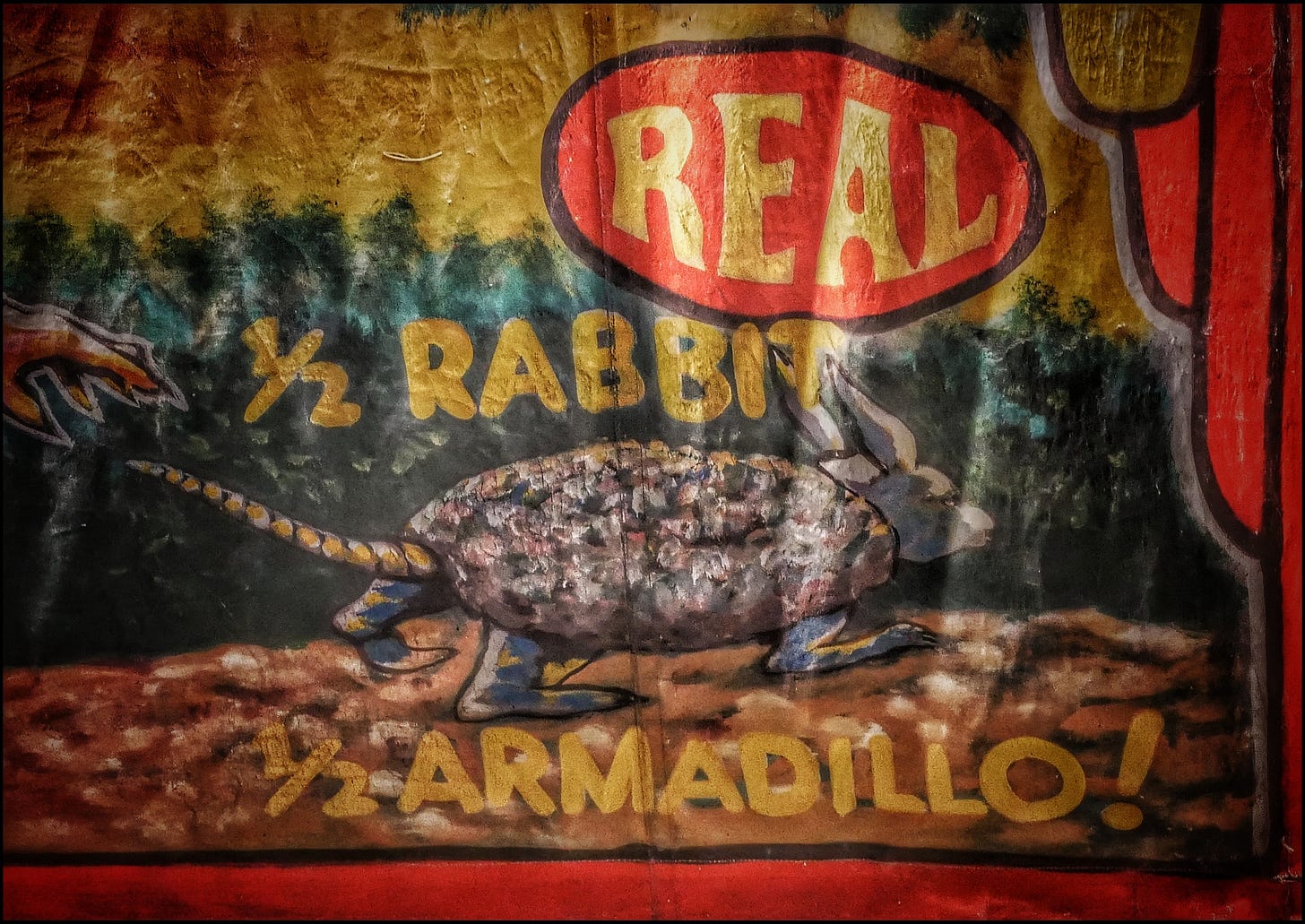 A sign painted in bright, garish colors on the side of a circus tent. At the top, in a large red oval, is the word "REAL"; in the center, in a somewhat smaller font, "1/2 RABBIT"; and at the bottom, ditto, "1/2 ARMADILLO!" Between the latter two labels is a depiction -- apparently -- of the creature so described: the rabbit part seems to be the gray, long-eared head, and the four gray legs; as for the 1/2 armadillo, it consists of some kind of armor plating around the creature's torso, and a scaly naked tale. No fluffy bunny tail *here*.