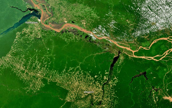 A dense expanse of the Amazon rainforest, filled with diverse green foliage and towering trees, highlighting the region’s rich biodiversity.