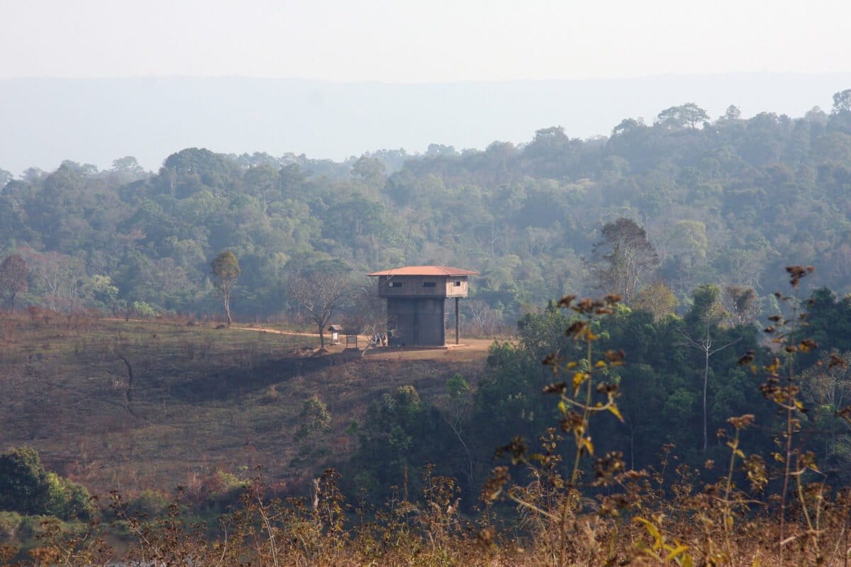 Observation tower in Khao Yai, Thailand. Photo by Rhett Ayers Butler Observation tower in Khao Yai, Thailand. Photo by Rhett Ayers Butler