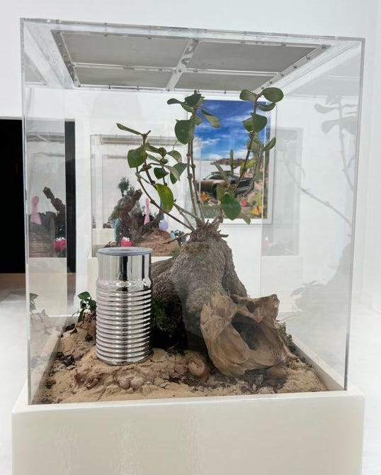 A tree in a glass case

AI-generated content may be incorrect.