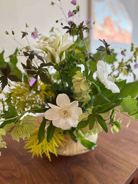 Spring 2024 images from my garden