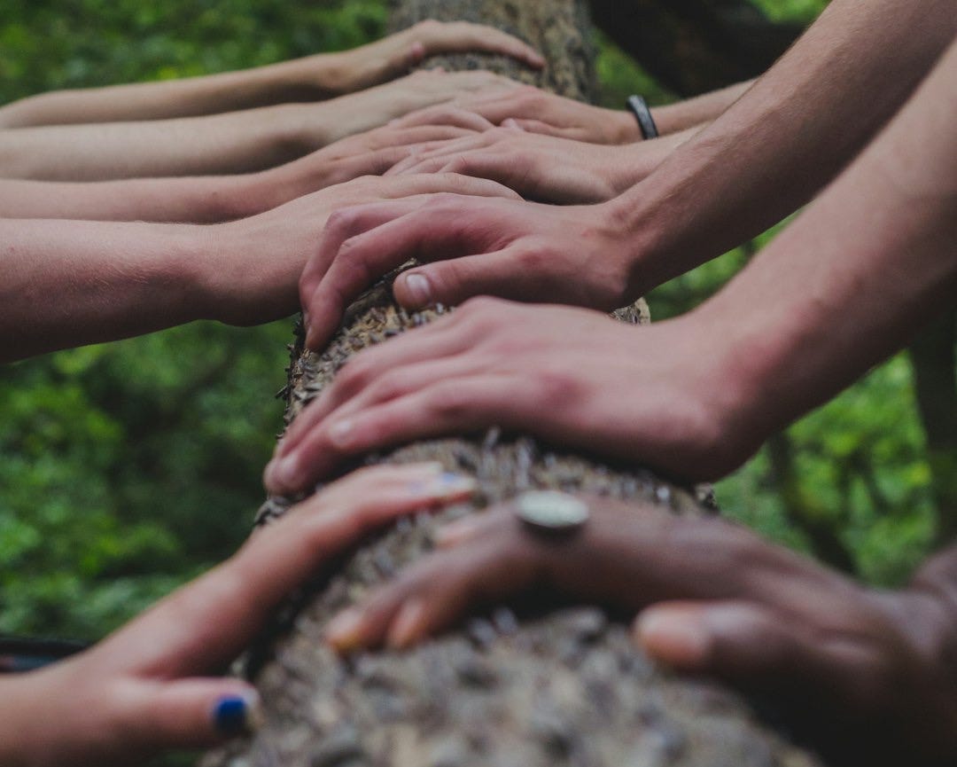 a group of people holding hands on top of a tree a group of people holding hands on top of a tree