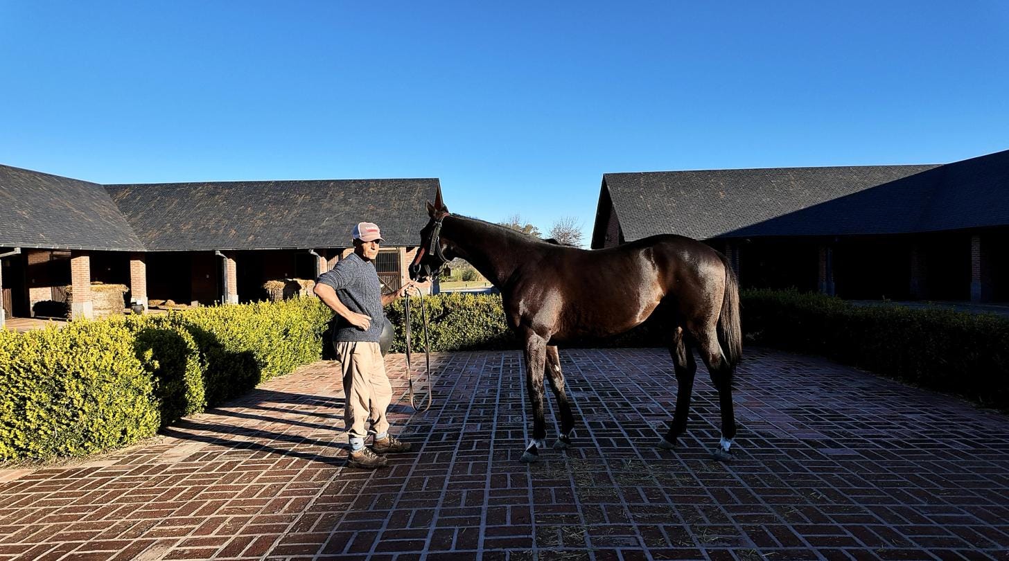 Haras chenaut Haras chenaut