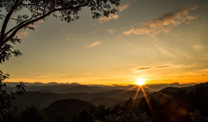 Ten New Year’s Resolutions to Restore Medical Freedom Ten New Year’s Resolutions to Restore Medical Freedom