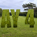 Survivor Holiday - Mana Island Resort