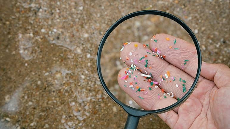 microplastics health risks