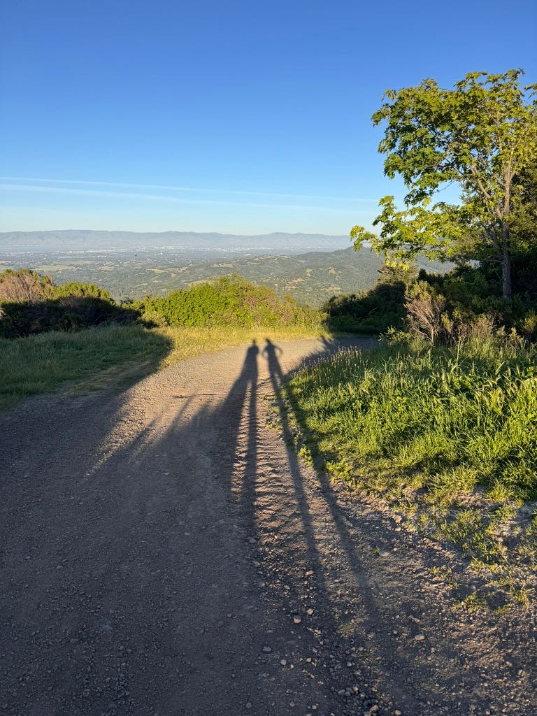 A photo taken from Windy Hill in the evening. Two shadows stretch down a steep dirt trail, bright blue skies and the hills around San Francisco Bay visible in the background.