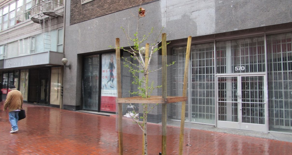 A tree growing in a fence

AI-generated content may be incorrect.