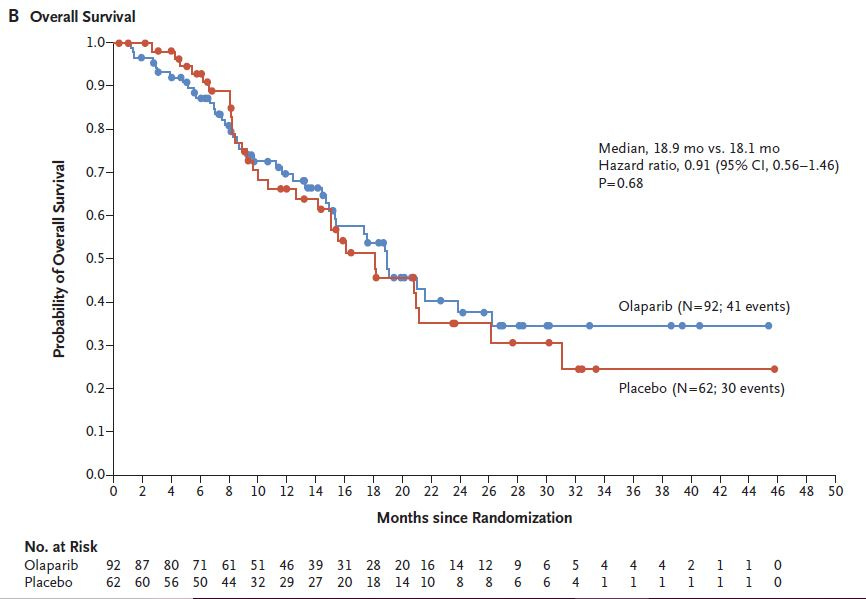 Asco 2019 – Polo reveals an overall survival hole | Evaluate
