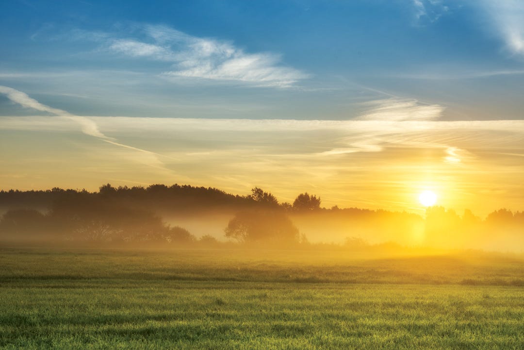Beautiful summer sunset over fields