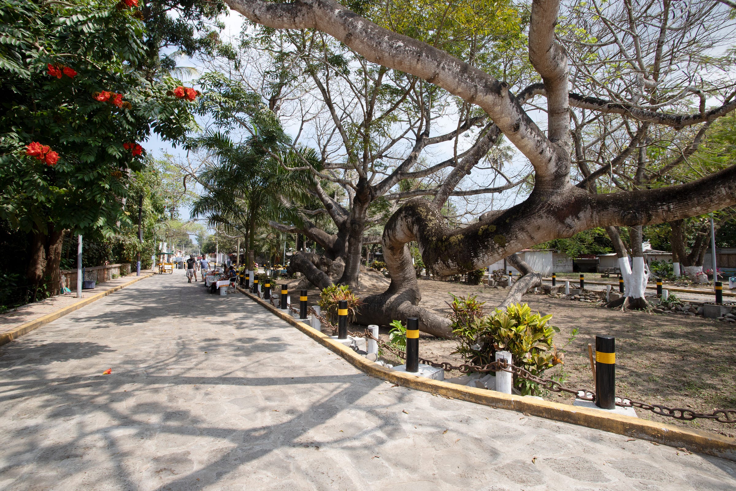 la ceiba