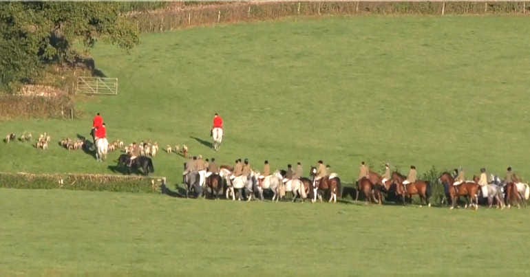 Blackmore and Sparkford Vale Hunts foxes during Covid pandemic