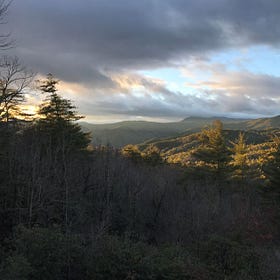 What if a walk in the woods was – illegal?