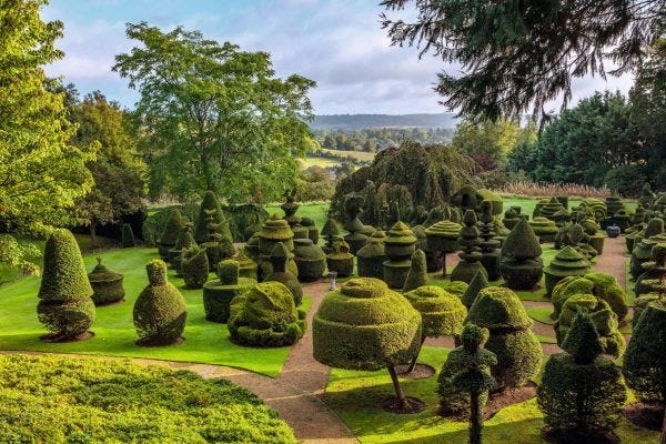 When George Harrison first saw the famous Topiary Garden at Friar Park ...