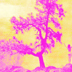 Freehiking: Tips for doing it legally (and illegally)