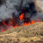 Chubb's Climate Insurance Wars Have a Price: Ask Mexico